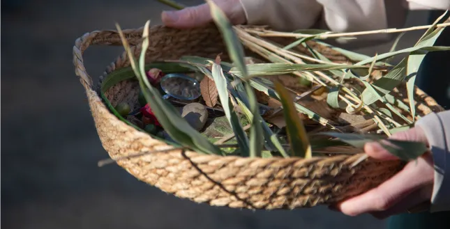 Child holding a basket of found natural objects
